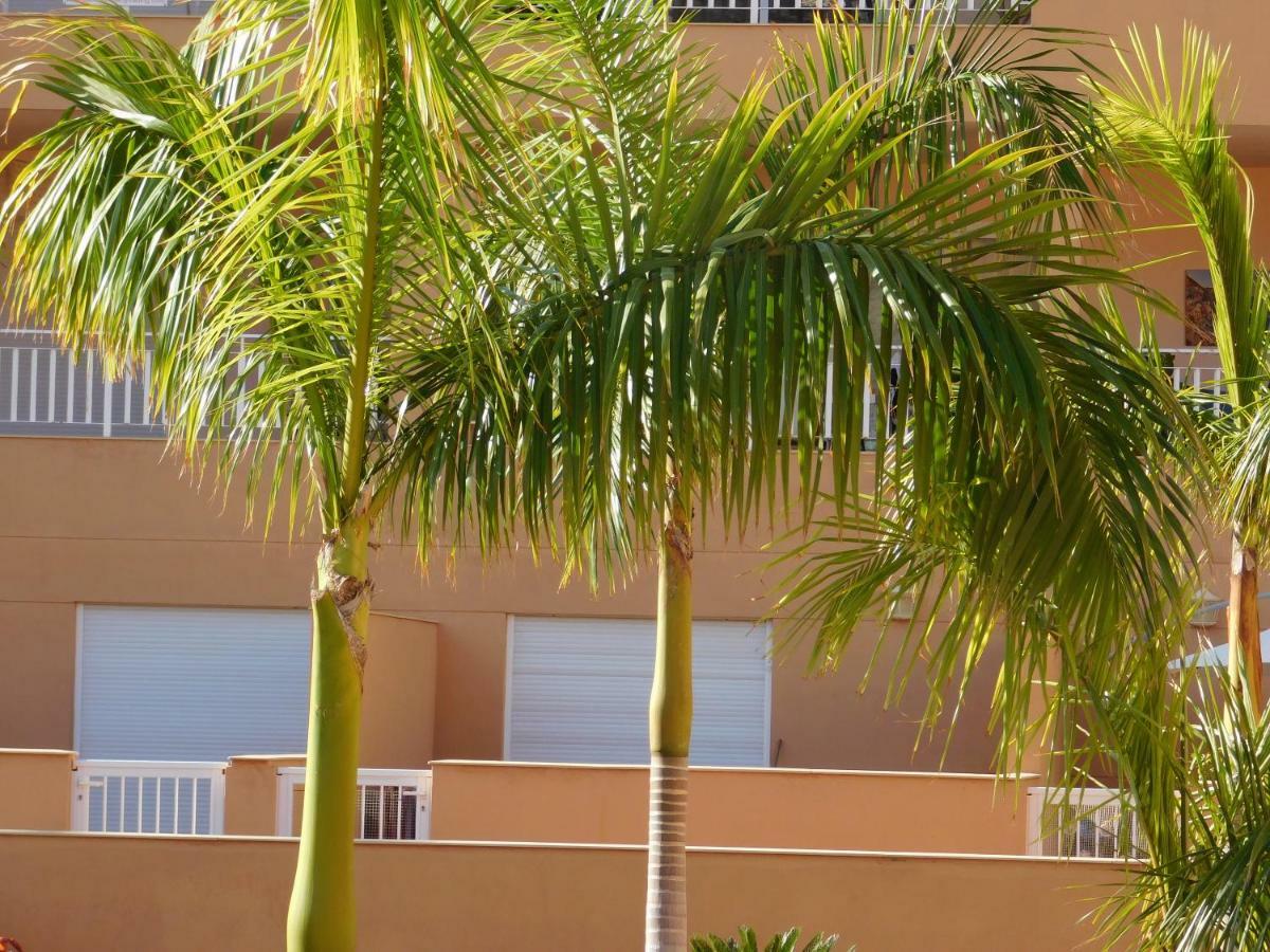 Brisas del Mar Costa Adeje (Tenerife) Exterior foto